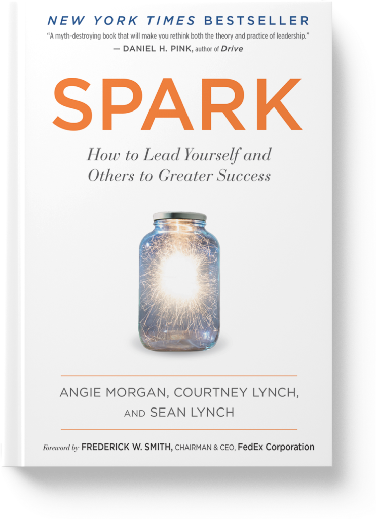 Spark a book by Author Angie Witkowski