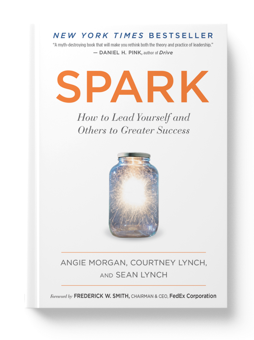 Spark a Book by Author Angie Witkowski
