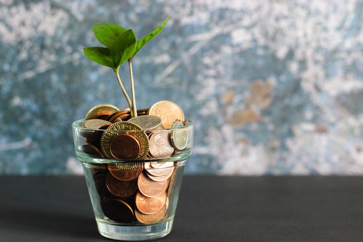 tree-sampling-growing-out-of-a-small-glass-cup-of-pennies