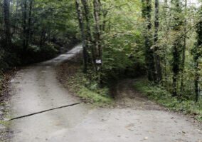 which patch? The forked road with fallen leaves in the forest. The abstract concept of decision, divergence, choice and option. A paved and bright road, another muddy and gloomy. The Road Not Taken